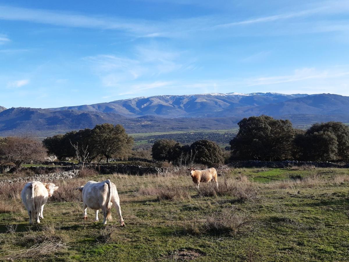 Valdefuentes de Sangusín Casa Rural Mi Descanso מראה חיצוני תמונה